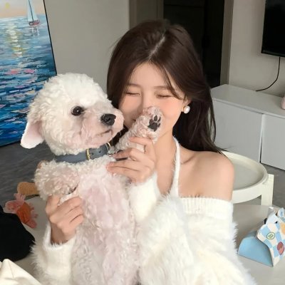 十二猴子
