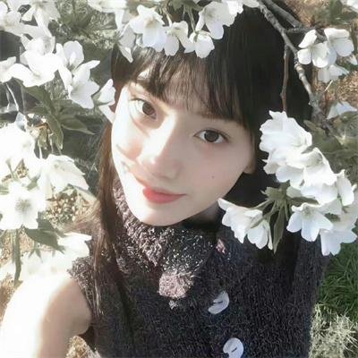 碎梦人生